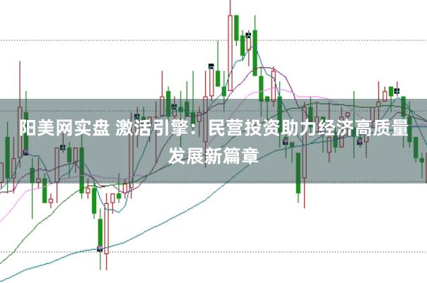 阳美网实盘 激活引擎:民营投资助力经济高质量发展新篇章