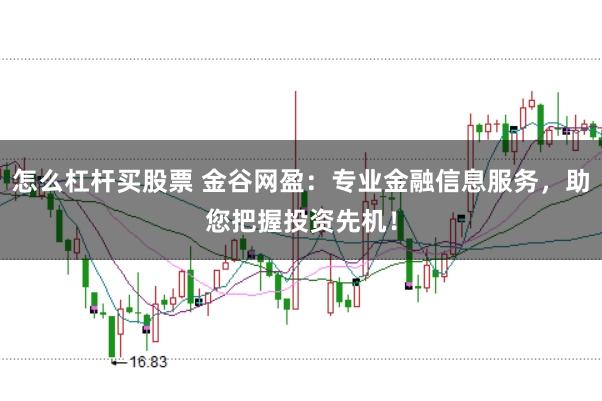 怎么杠杆买股票 金谷网盈:专业金融信息服务,助您把握投资先机!